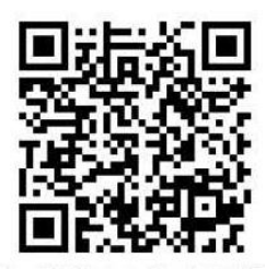 比分直播即时比分