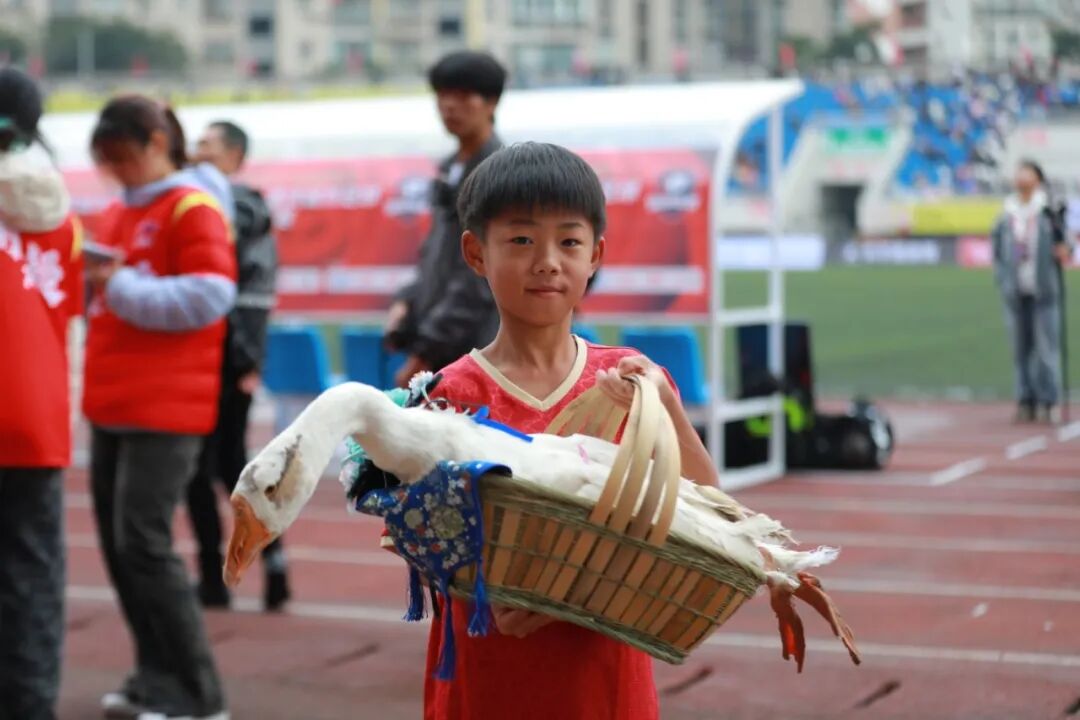 比分直播即时比分