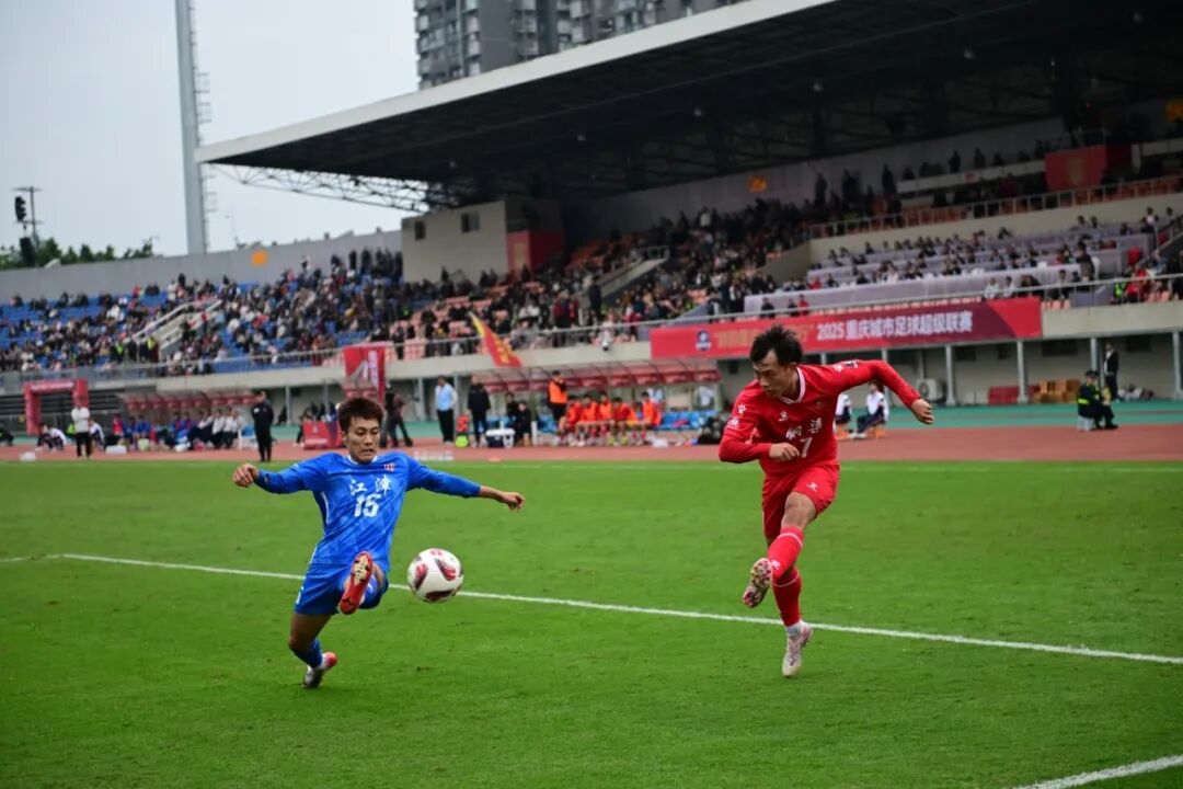 比分直播即时比分