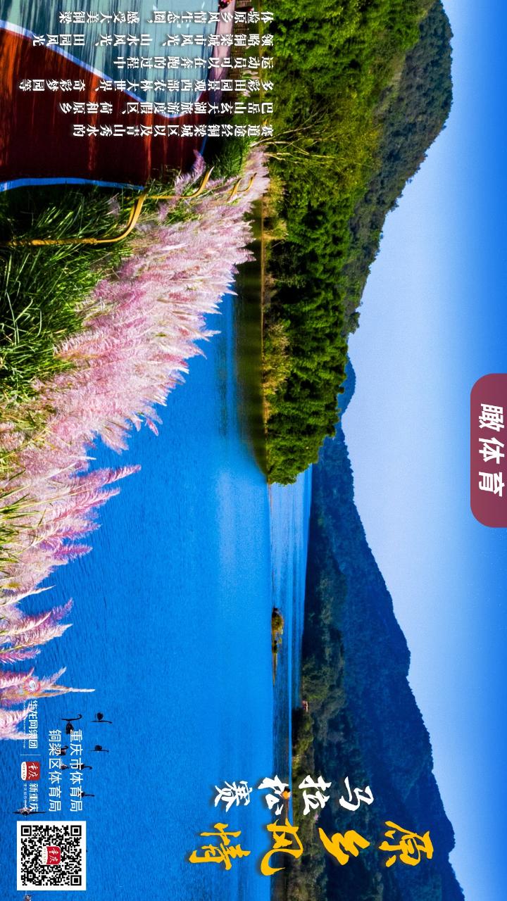 比分直播即时比分