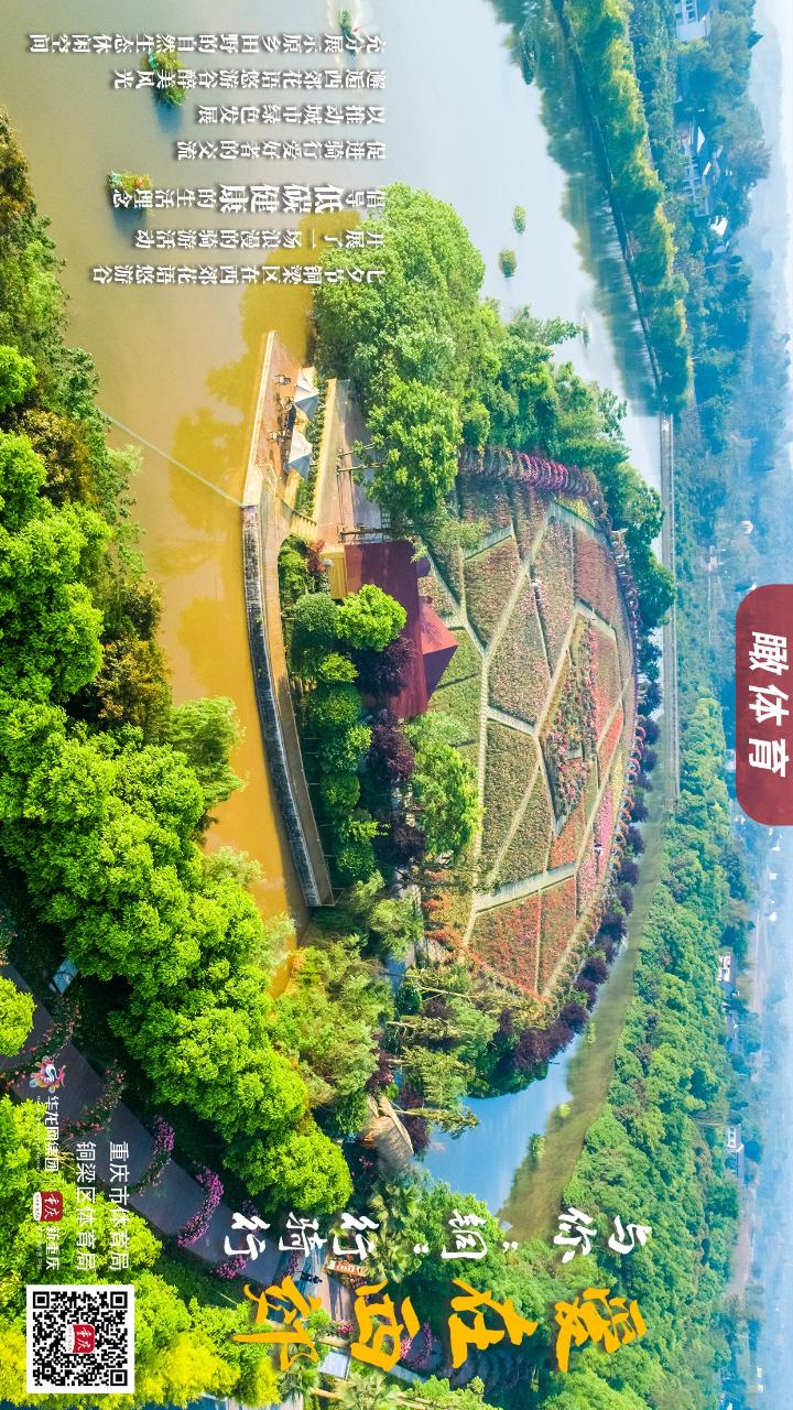 比分直播即时比分