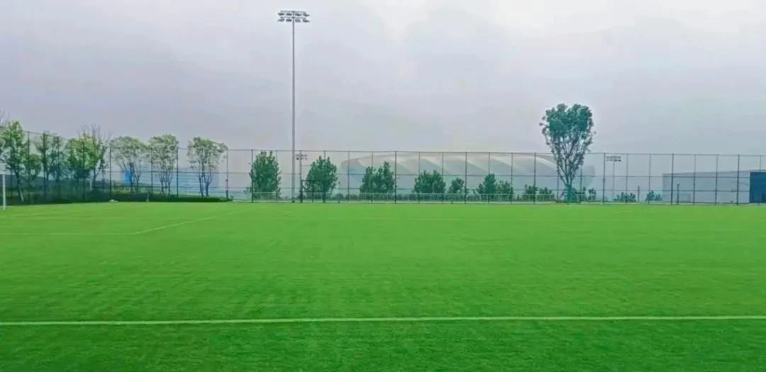 比分直播即时比分