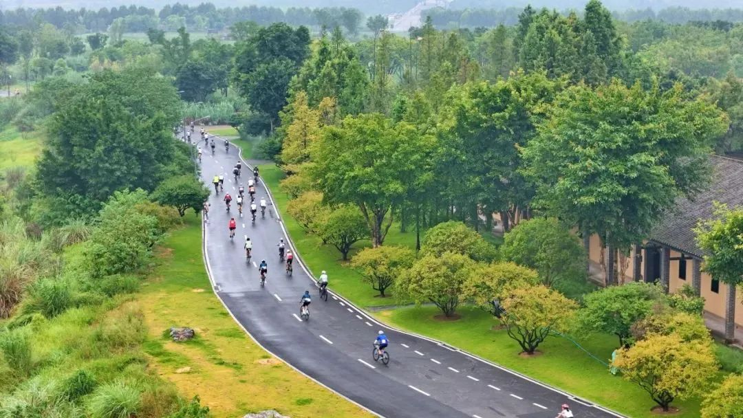 比分直播即时比分