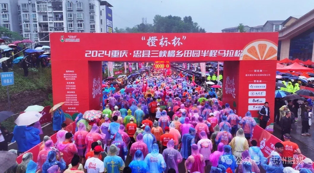 比分直播即时比分