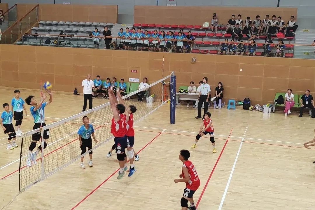 比分直播即时比分