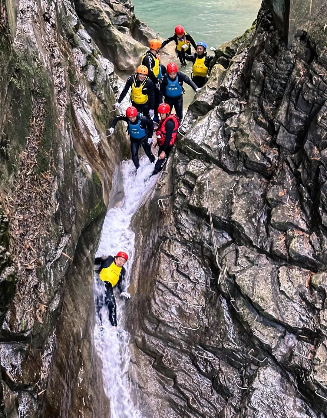 比分直播即时比分