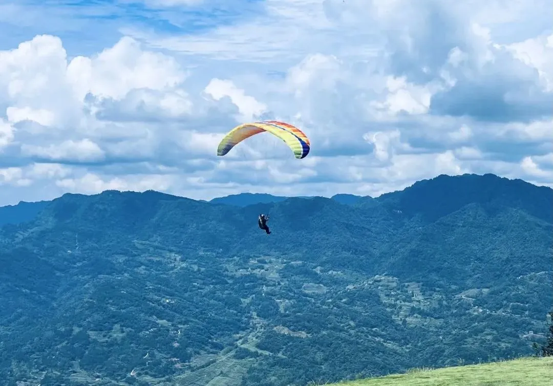 比分直播即时比分