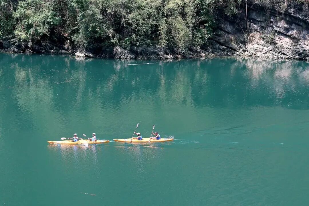 比分直播即时比分