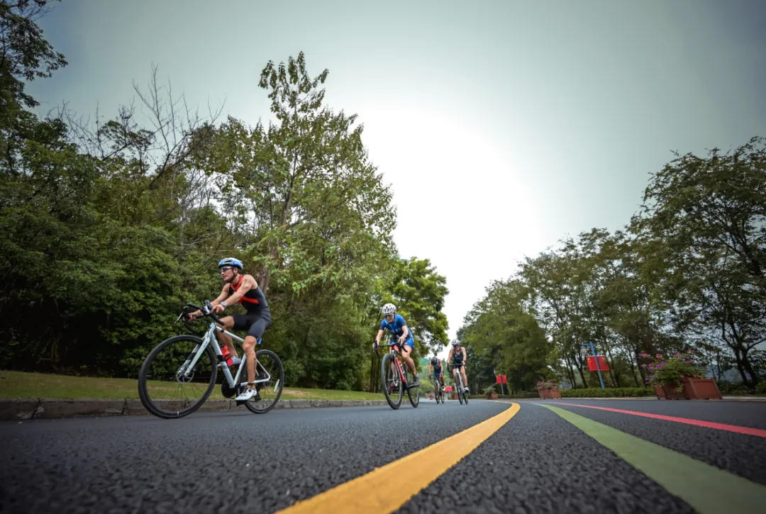 比分直播即时比分