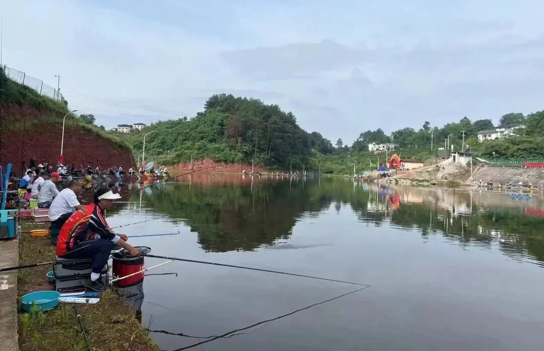 比分直播即时比分