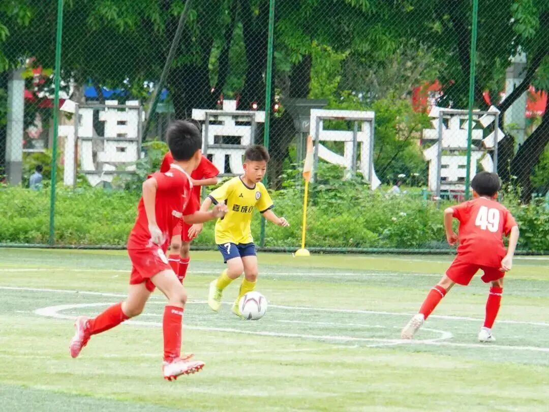 比分直播即时比分