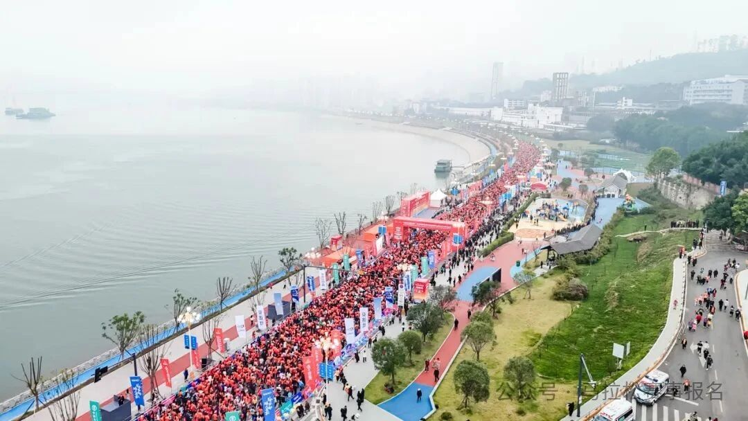 比分直播即时比分