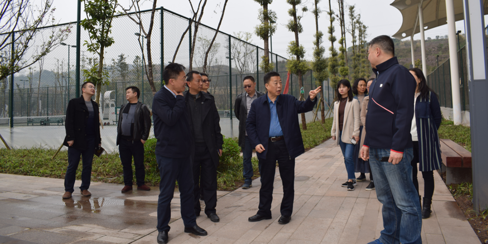 比分直播即时比分