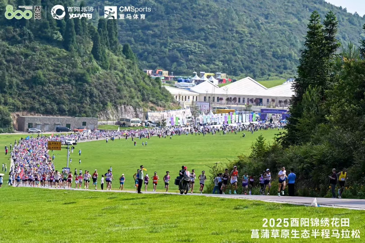 比分直播即时比分