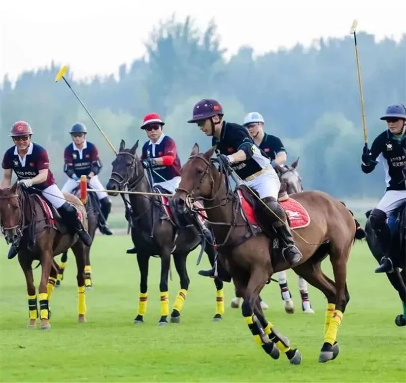 比分直播即时比分