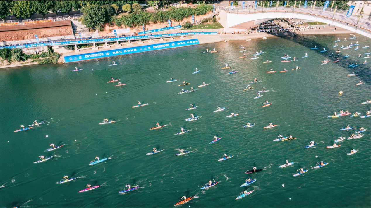 比分直播即时比分