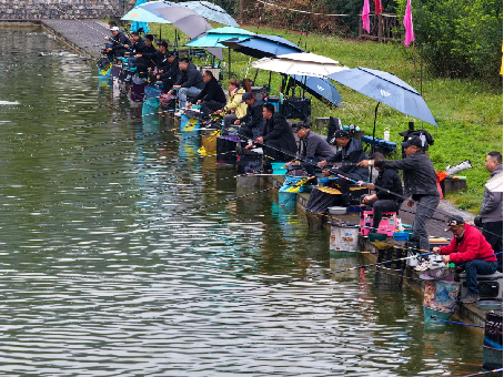 比分直播即时比分