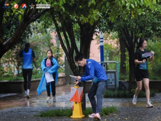 比分直播即时比分