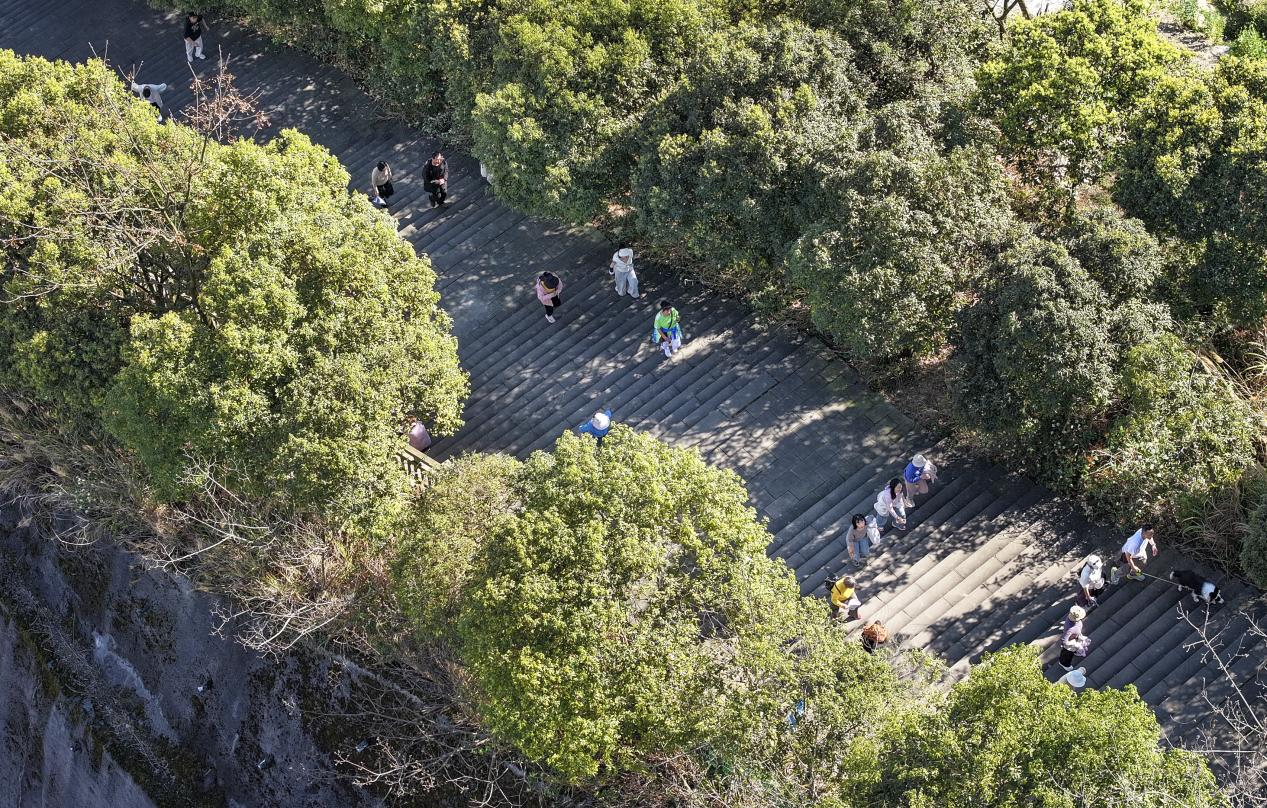 比分直播即时比分