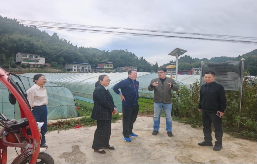 5.png 比分直播即时比分