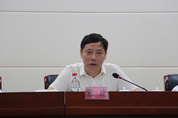 比分直播即时比分