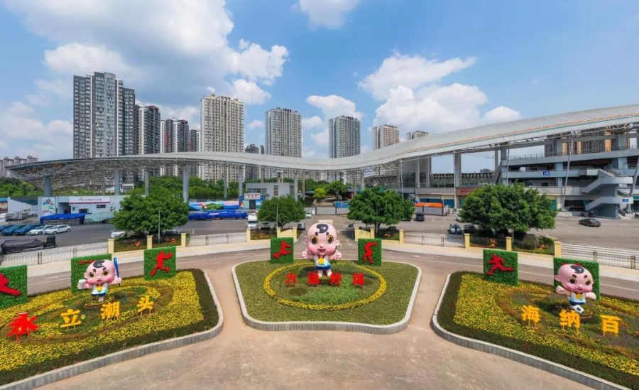 比分直播即时比分