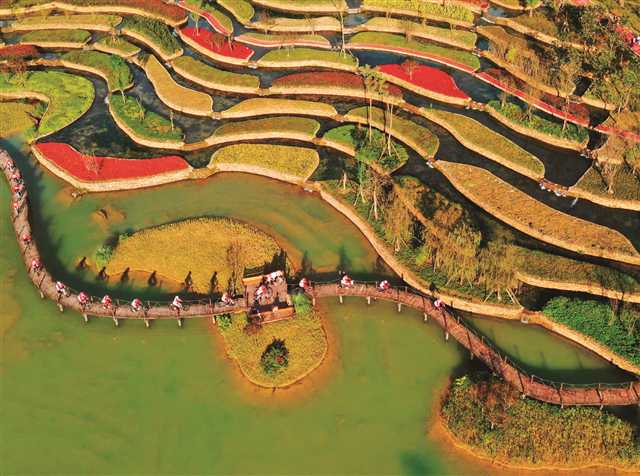 比分直播即时比分