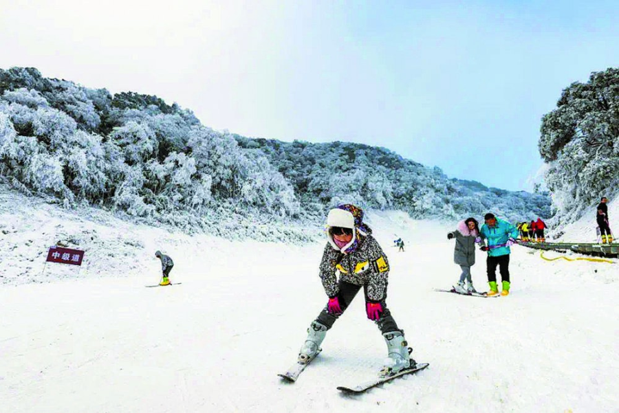 比分直播即时比分