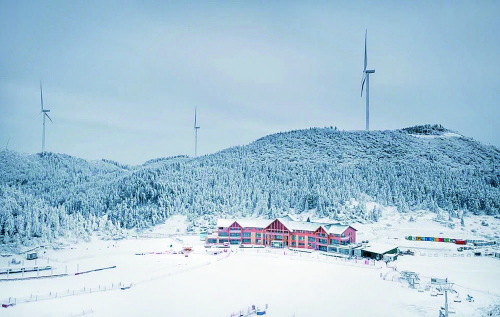 比分直播即时比分