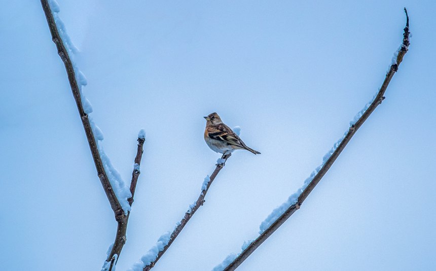 比分直播即时比分
