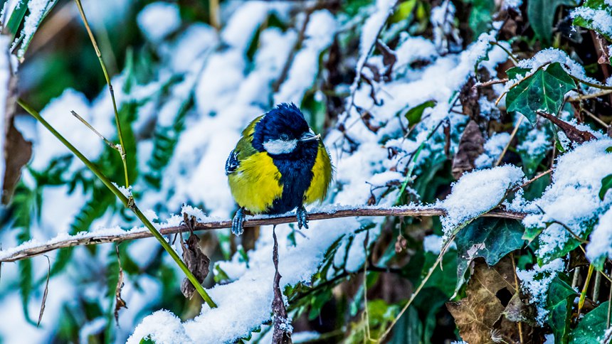 比分直播即时比分