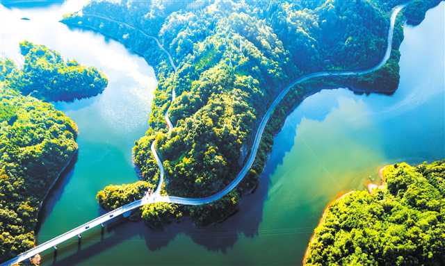 比分直播即时比分