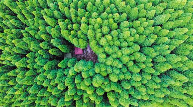 比分直播即时比分