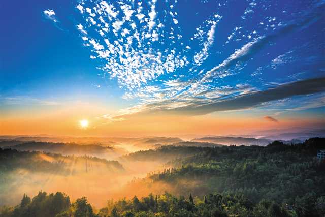 比分直播即时比分