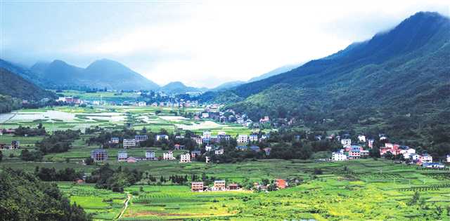 比分直播即时比分