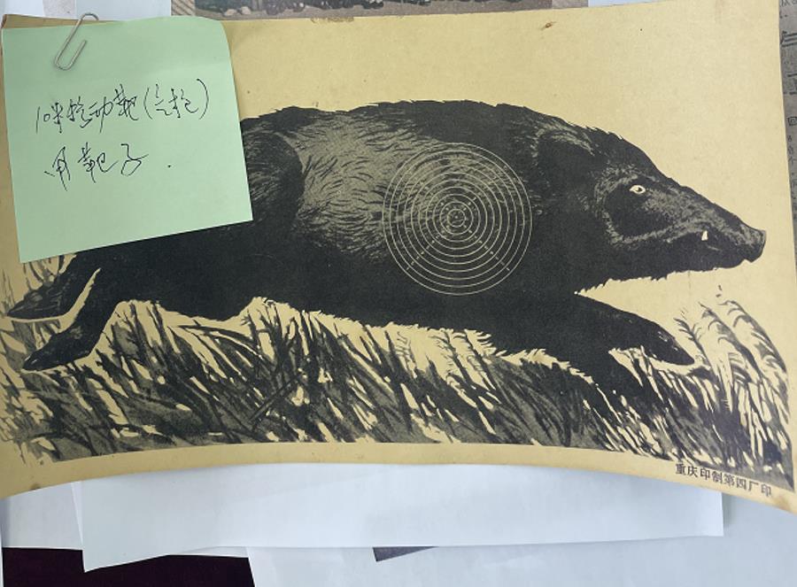 比分直播即时比分