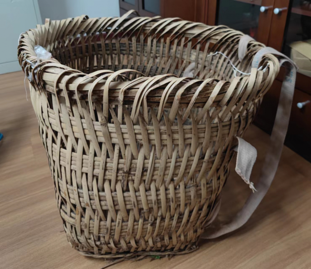 比分直播即时比分