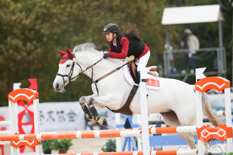 比分直播即时比分