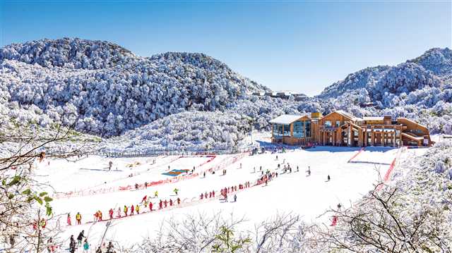 比分直播即时比分