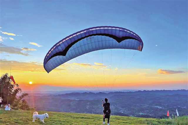 比分直播即时比分