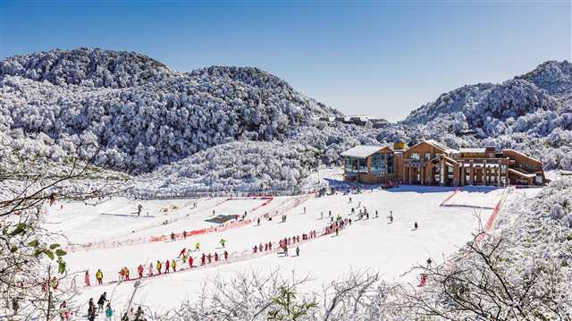 比分直播即时比分