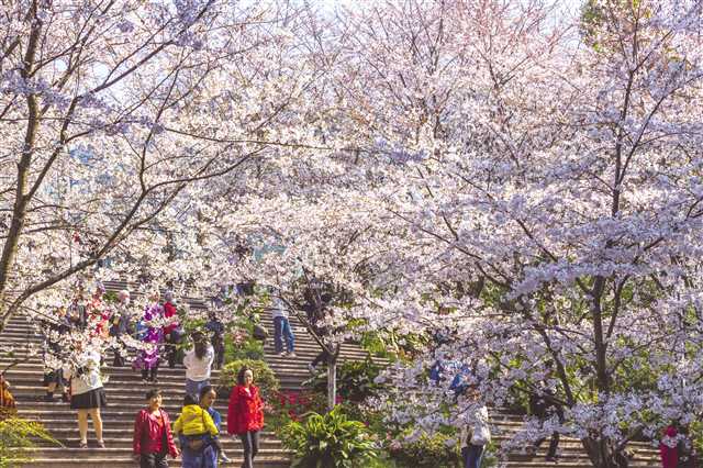 比分直播即时比分