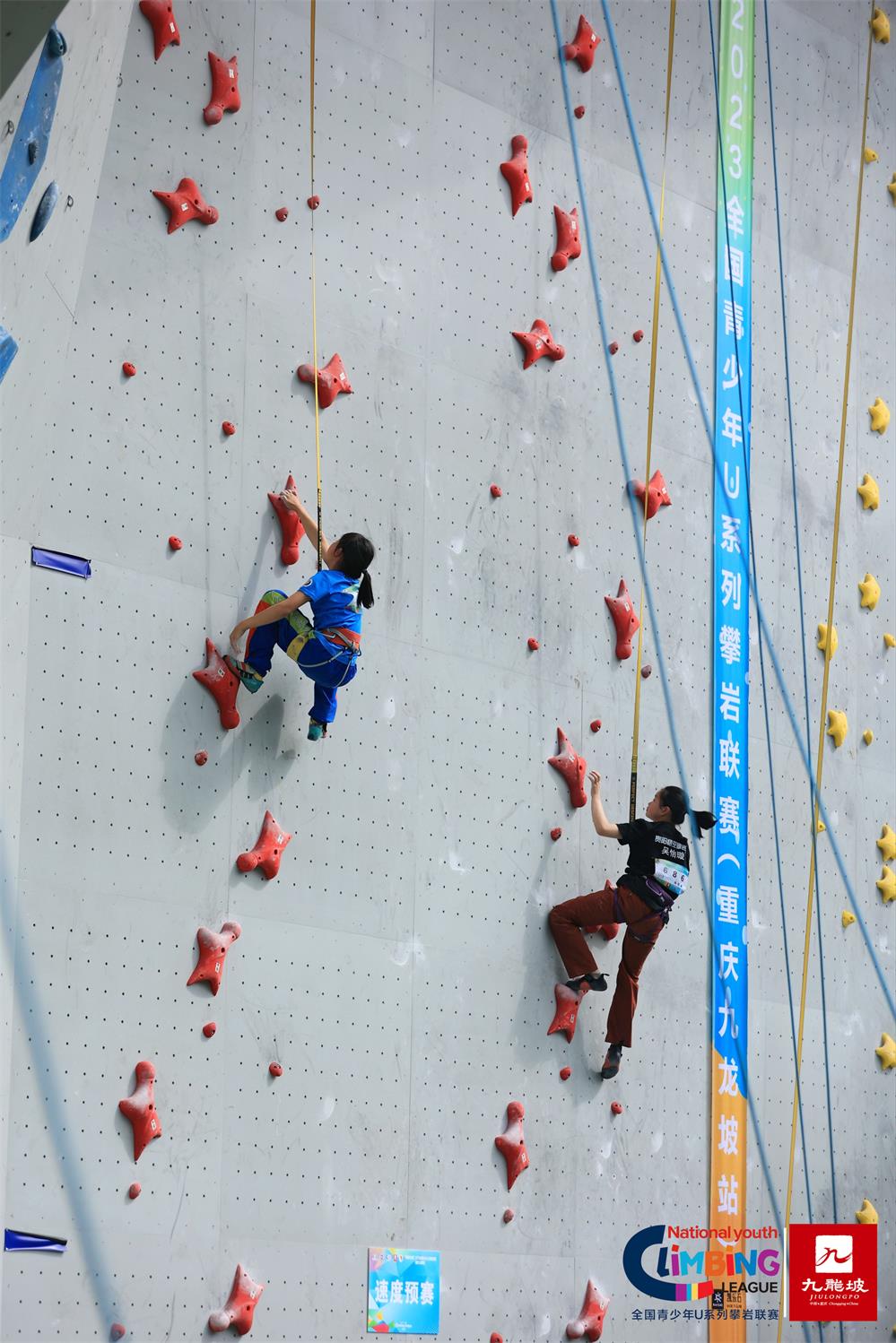 比分直播即时比分