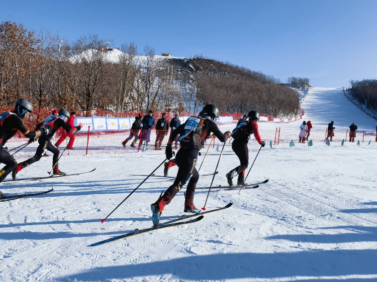 比分直播即时比分