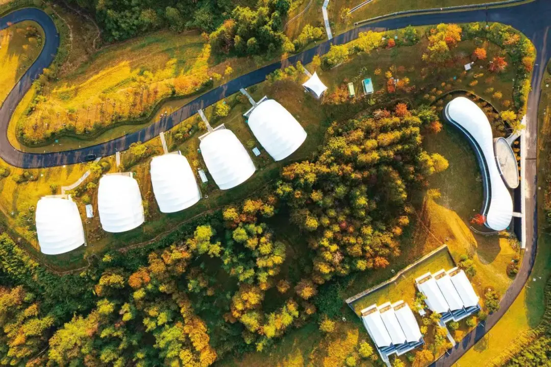 比分直播即时比分