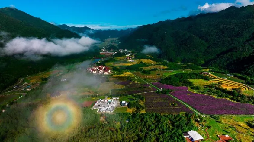 比分直播即时比分