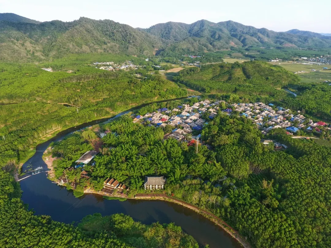 比分直播即时比分