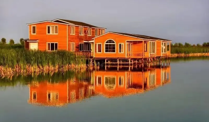 比分直播即时比分