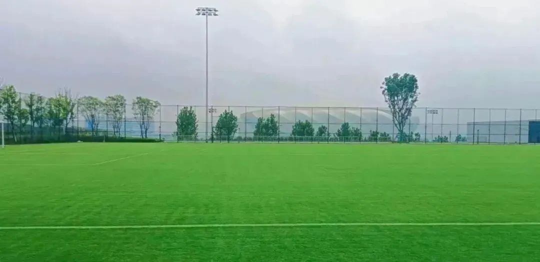 比分直播即时比分