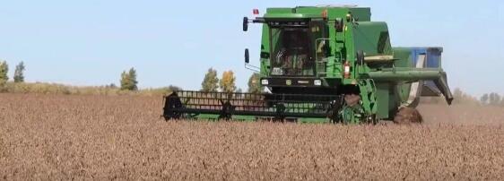 比分直播即时比分